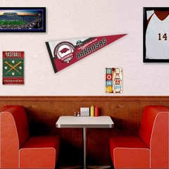 Arkansas Razorbacks 12 in X 30 in 2025 College Baseball Series College Pennant