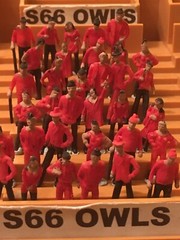 50 RED FANS FOR SUBBUTEO/ZEUGO*NEW*(ALL TEAMS AVAILABLE)