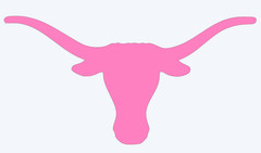 Texas Longhorns Vinyl Decal Sticker – You choose color and size