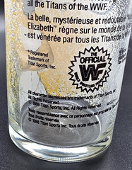 WWF WWE Wrestling Drinking Glass 1988 Miss Elizabeth 4.75&Prime; Tall WWE Titan Sports