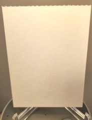 Michael Jordan Valentines Card. Have A High-Flying Day. Blank Back Perforated