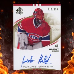 2007-08 Upper Deck SP Authentic Jaroslav Halak Future Watch Auto /999 #223