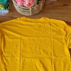 Fruit of the Loom Toledo Goaldiggers Hockey IHL 1974 Yellow Shirt XL