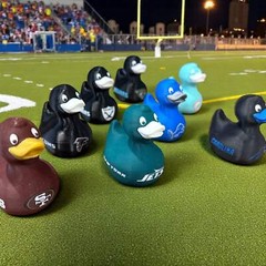 Football Ducks