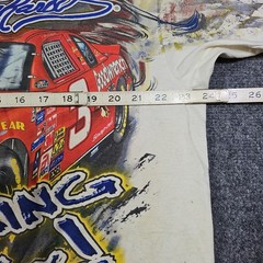 Vtg 2000 Dale Earnhardt Taz Looney Tunes T-Shirt Large NASCAR Racing Rip Thrashe