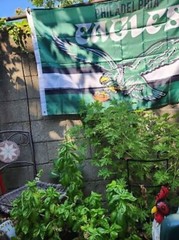 Philadelphia Eagles Fly Philly 3×5 Banner Flag Man Cave Flags Banners Garage USA
