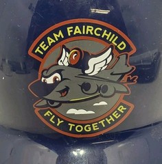 Team Fairchild Fly Together Souvenir Plastic Batting Blue Helmet MLBP VWS