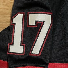 2014-15 Ottawa Senators David Legwand #17 Alternate Third Heritage Jersey Sz XL