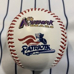Atlantic League ALPB TEAM LOGOS DEFUNCT Souvenir baseball collectible ball V2