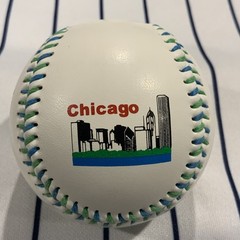 Chicago Illinois Windy City My Kind Of Town White Matte Souvenir Baseball Ball