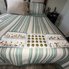 NY YANKEES THE IMMORTALS 2005 MEDALLION COLLECTION 20 COIN FOLDER NOT NY POST!