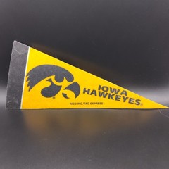 Iowa Hawkeyes NCAA College Mini Pennant Flag Felt RICO INC. 9 Inches Long