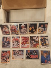 1990-91 Upper Deck French Hockey Complete Set Mint,Individually Sleeved, The…