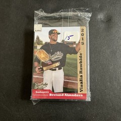 2015 VISALIA RAWHIDE TEAM SET-SEALED