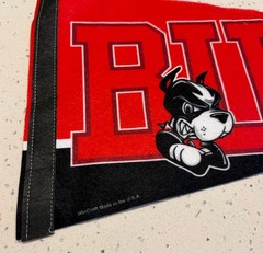 Boston Terriers Wordmark Logo Full Size Pennant Vintage Wincraft