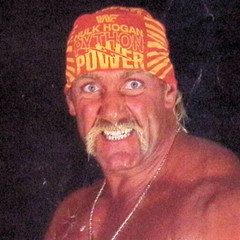 1990 Hulk Hogan Photo Print WWF Toys R Us Titan Sports Inc Steve Taylor