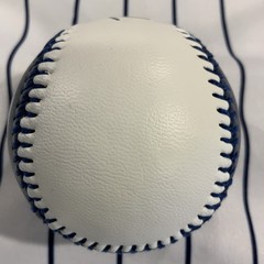 Trimingham’s Bermuda Department Store Since 1842 Souvenir Baseball Ball
