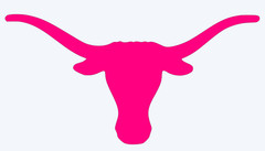 Texas Longhorns Vinyl Decal Sticker – You choose color and size