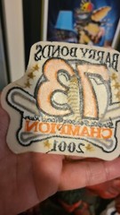 Barry Bonds 2001 San Francisco 73 Home Run Season Record Sleeve Patch for Jersey