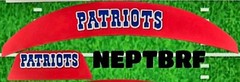 New England Patriots 3D Front & Back SpeedFlex Bumpers