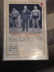 1995 BBM Pro Wrestling Farewell To Ring Card Set 218–223 Japan Insert WWE WWF