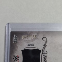 Topps 2016 WWE Undisputed Relics Brie Bella Memorabilia Card #UAR-BB /175