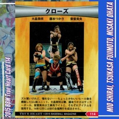 2015 BBM True Heart Wrestling Card 114 Mio Shirai Tsukasa Fujimoto Misaki Ohata