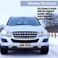 Michigan Wolverines License Plate Frame Cover – Black – EliteAuto3K