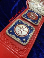 NWA Television heavyweight Championship Belt ,4mm Zinc,Nikal Plated,real Leather
