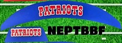 New England Patriots 3D Front & Back SpeedFlex Bumpers