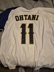 HGC Shohei Ohtani #11 Hokkaido Nippon-Ham Fighters Baseball Jersey 3XL