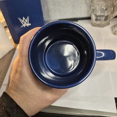 Kurt Angle YOU SUCK Mug WWE Slam Crate 2017 Loot Crate Exclusive Blue Coffee Cup