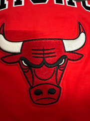 Chicago Bulls – Official NBA_ProStandard *Luxury Athletic Collection*RED*_ NEW!