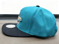 NEW Detroit Pistons Mitchell & Ness NBA Snapback Hat Horse Hardwood Classics HWC