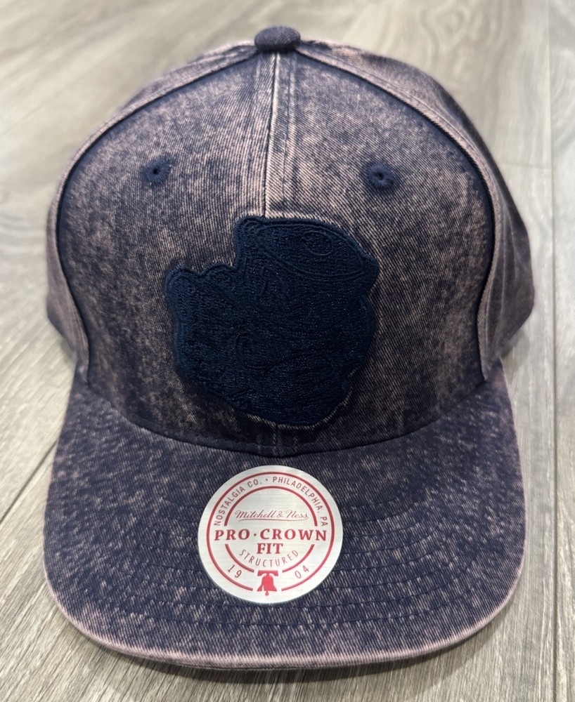 Michigan Wolverines Mitchell & Ness SnapBack Adjustable Hat Pro Crown Fit