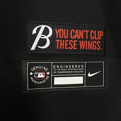 Orioles, 2023 City Connect, Baseball Jersey, Blank, Stitched, Black, S-3XL