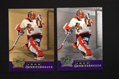(2) Vanbiesbrouck 1995-96 Parkhurst International Crown Collection Silver Gold