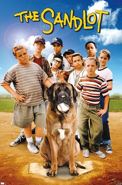 THE SANDLOT Classic Baseball Movie (1993) THE TEAM 22×34 Wall POSTER