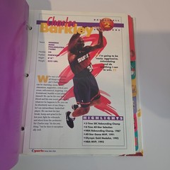 1994 Sports Heroes Feats & Facts NFL FOOTBALL Collection 173 Pages with BINDER