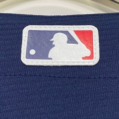 Red Sox, Baseball Jersey, Blank, Stitched, Navy Blue, S/M/L/XL/2XL/3XL