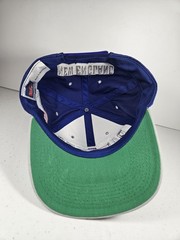 Vintage NEW ENGLAND PATRIOTS Team Football ANI Snapback NFL Hat Cap Flying Elvis