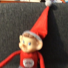 Ohio State Buckeyes Elf Doll With Ohio State Logo 9 Inches Tall Wire Limbs