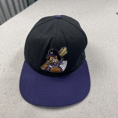 VINTAGE Merrillville Mud Dogs Hat Adult New Era Black Minors Snapback Cap 90s