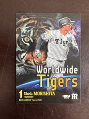 Shota Morishita 2026 BBM Hanshin Tigers Worldwide Tigers