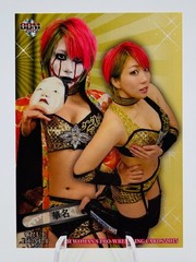 🔥 2015 KANA – ASUKA True Heart BBM Women Pro Wrestling Card 🔥 WWE DAMAGE CTRL