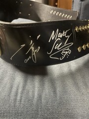 Ring Of Honor TV championship Belt. (old Version)