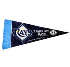 Tampa Bay Rays MLB Baseball Team Sports Souvenir Felt Flag Pendant 10” Decor