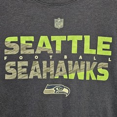 NFL Seattle Seahawks T-Shirt Unisex Size L 14/16 Blue Green Gray 67891
