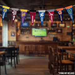 NCAA SEC Complete 4&Prime; X 9&Prime; Felt Mini Pennant League Set (Includes ALL Teams)