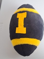 Iowa State Hawkeyes 11.5&Prime; Plush Football Collectible- Princess Soft Toys